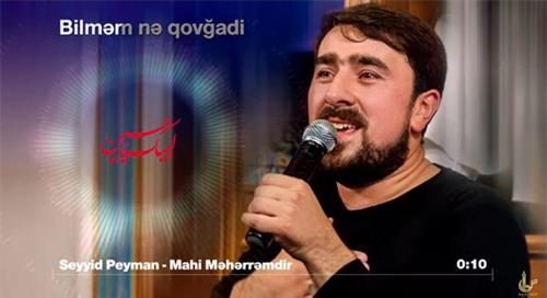 سید پیمان برادیگاهی ماه محرم دیر